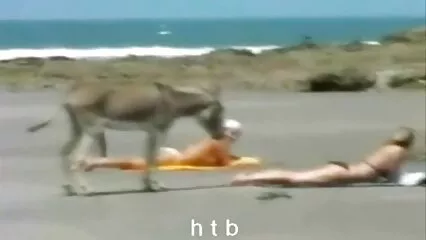 Ragazze bianche scopano con un muscoloso signore. video gratis donne sexy