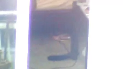 Una bruna siti porno gratis con animali magra ha sellato un membro di un uomo.